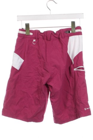 Herren Shorts SCOTT, Größe XS, Farbe Rosa, Preis € 15,03