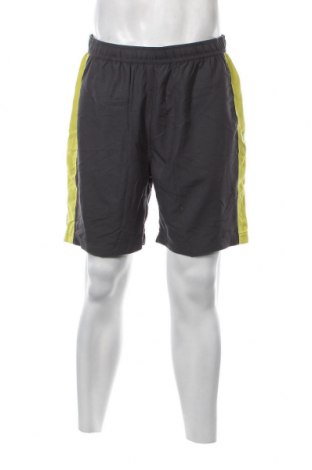 Ανδρικό κοντό παντελόνι Stooker, Μέγεθος L, Χρώμα Γκρί, Τιμή 4,70 €