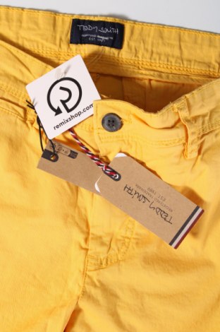 Ανδρικό κοντό παντελόνι Teddy Smith, Μέγεθος M, Χρώμα Κίτρινο, Τιμή 29,90 €