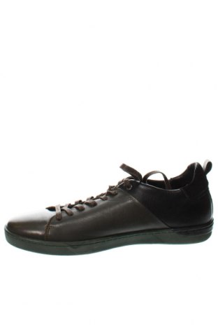 Pánske topánky Bjorn Borg, Veľkosť 44, Farba Viacfarebná, Cena  79,33 €