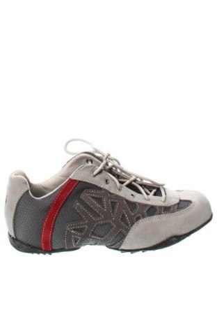 Pánske topánky Timberland, Veľkosť 42, Farba Sivá, Cena  69,21 €