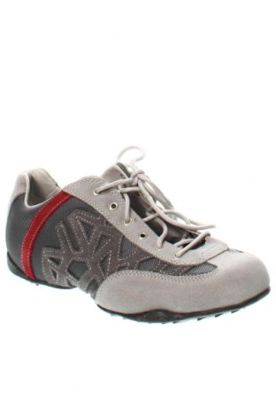 Ανδρικά παπούτσια Timberland, Μέγεθος 42, Χρώμα Γκρί, Τιμή 72,36 €