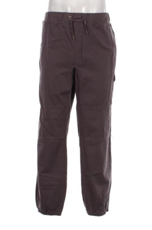 Ανδρικό παντελόνι, Μέγεθος L, Χρώμα Γκρί, Τιμή 3,56 €
