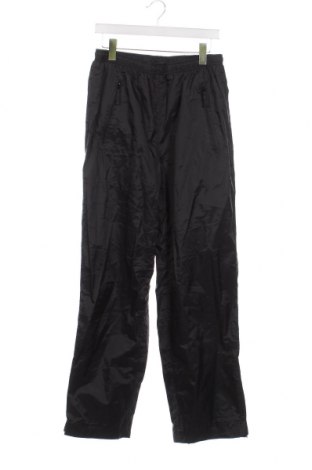 Ανδρικό παντελόνι Icepeak, Μέγεθος S, Χρώμα Μαύρο, Τιμή 13,75 €