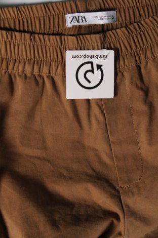Мъжки панталон Zara, Размер M, Цвят Кафяв, Цена 12,96 лв.