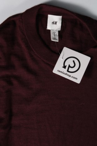 Ανδρικό πουλόβερ H&M, Μέγεθος S, Χρώμα Βιολετί, Τιμή 4,66 €