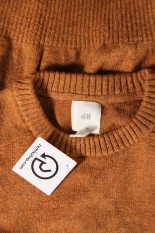 Ανδρικό πουλόβερ H&M, Μέγεθος M, Χρώμα Καφέ, Τιμή 10,23 €