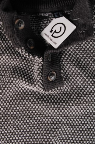 Ανδρικό πουλόβερ Livergy, Μέγεθος XL, Χρώμα Γκρί, Τιμή 4,84 €