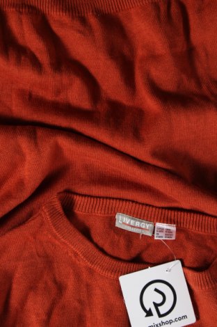Ανδρικό πουλόβερ Livergy, Μέγεθος M, Χρώμα Πορτοκαλί, Τιμή 5,20 €
