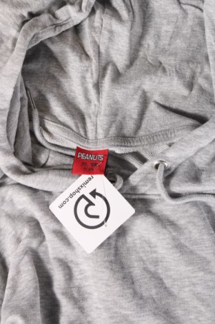 Herren Sweatshirt Peanuts, Größe XL, Farbe Grau, Preis 20,18 €