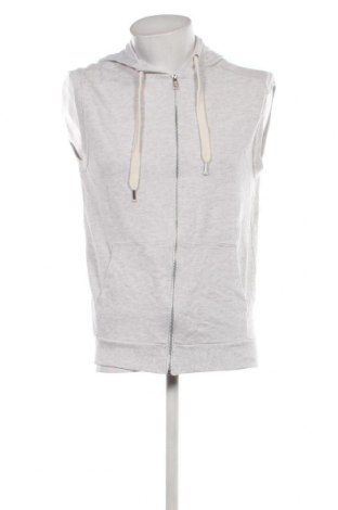 Herren Sweatshirt Watson's, Größe M, Farbe Grau, Preis € 14,73
