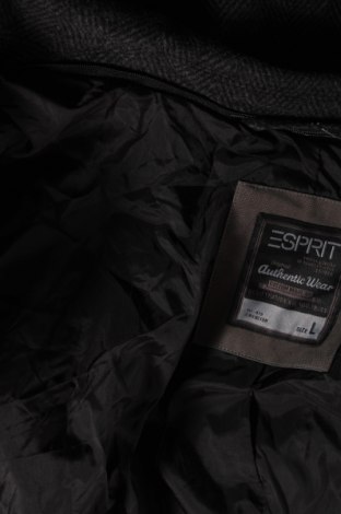 Herrenmantel Esprit, Größe L, Farbe Grau, Preis 28,39 €