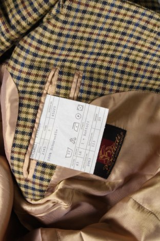 Ανδρικό σακάκι, Μέγεθος L, Χρώμα Πολύχρωμο, Τιμή 12,88 €