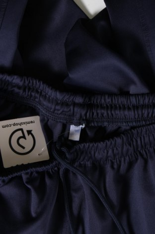 Ανδρικό αθλητικό παντελόνι, Μέγεθος L, Χρώμα Μπλέ, Τιμή 12,02 €