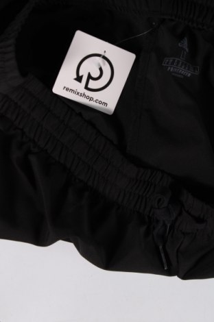 Herren Sporthose Adidas, Größe L, Farbe Schwarz, Preis 53,28 €