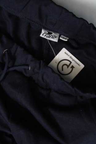 Ανδρικό αθλητικό παντελόνι Crane, Μέγεθος L, Χρώμα Μπλέ, Τιμή 14,53 €