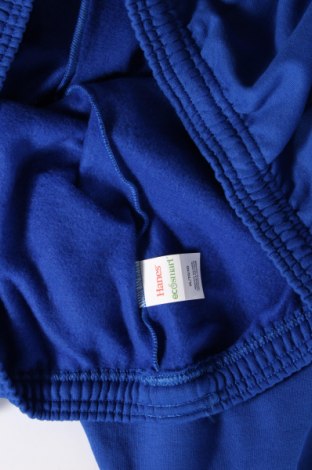 Ανδρικό αθλητικό παντελόνι Hanes, Μέγεθος XL, Χρώμα Μπλέ, Τιμή 12,80 €