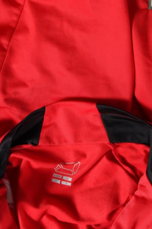 Ανδρική αθλητική ζακέτα, Μέγεθος M, Χρώμα Κόκκινο, Τιμή 4,82 €