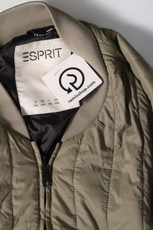 Pánska bunda  Esprit, Veľkosť XXL, Farba Zelená, Cena  27,78 €