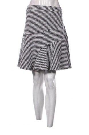 Φούστα, Μέγεθος XL, Χρώμα Πολύχρωμο, Τιμή 2,94 €