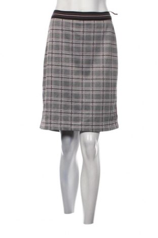 Φούστα Bianca, Μέγεθος XL, Χρώμα Πολύχρωμο, Τιμή 6,35 €