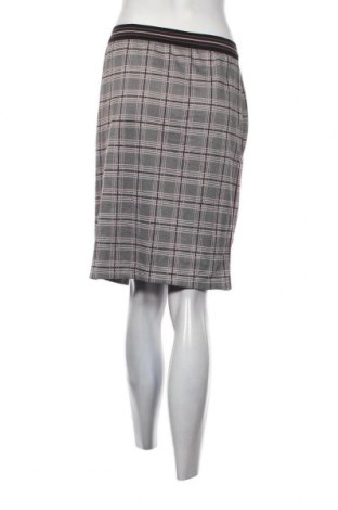 Φούστα Bianca, Μέγεθος XL, Χρώμα Πολύχρωμο, Τιμή 4,82 €