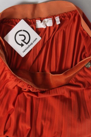 Φούστα Rich & Royal, Μέγεθος M, Χρώμα Πορτοκαλί, Τιμή 19,74 €