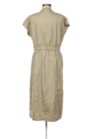 Kleid Armedangels, Größe L, Farbe Grün, Preis € 41,06