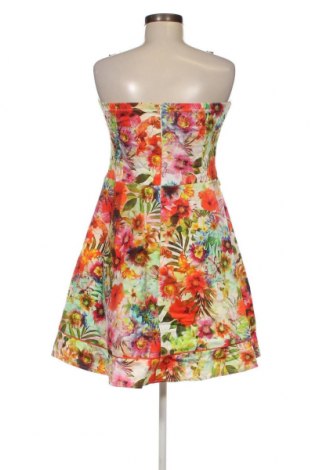 Kleid Cassis, Größe M, Farbe Mehrfarbig, Preis € 23,66