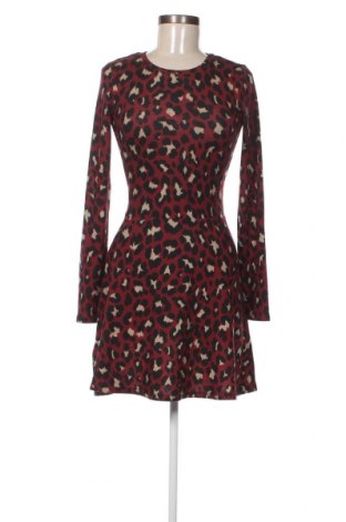 Kleid Clockhouse, Größe XS, Farbe Mehrfarbig, Preis 4,44 €
