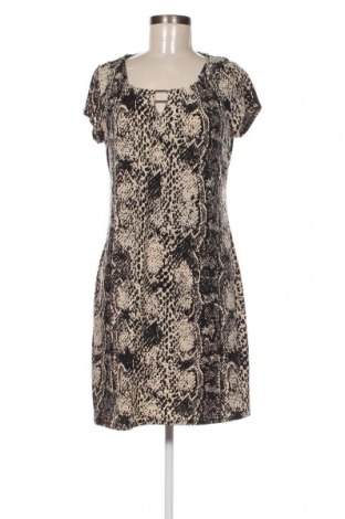 Kleid Debenhams, Größe M, Farbe Mehrfarbig, Preis € 8,48