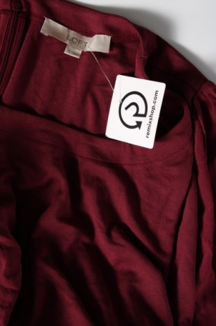 Kleid Loft, Größe XL, Farbe Rot, Preis 23,81 €