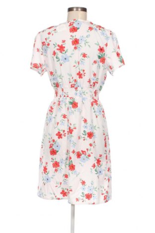 Φόρεμα Terranova, Μέγεθος L, Χρώμα Πολύχρωμο, Τιμή 14,23 €