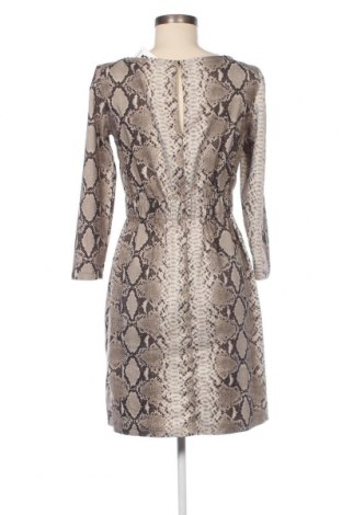 Kleid Zara, Größe S, Farbe Mehrfarbig, Preis 14,02 €