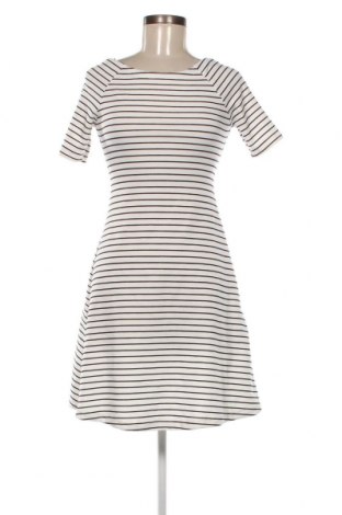 Kleid Zara Trafaluc, Größe S, Farbe Mehrfarbig, Preis € 10,42