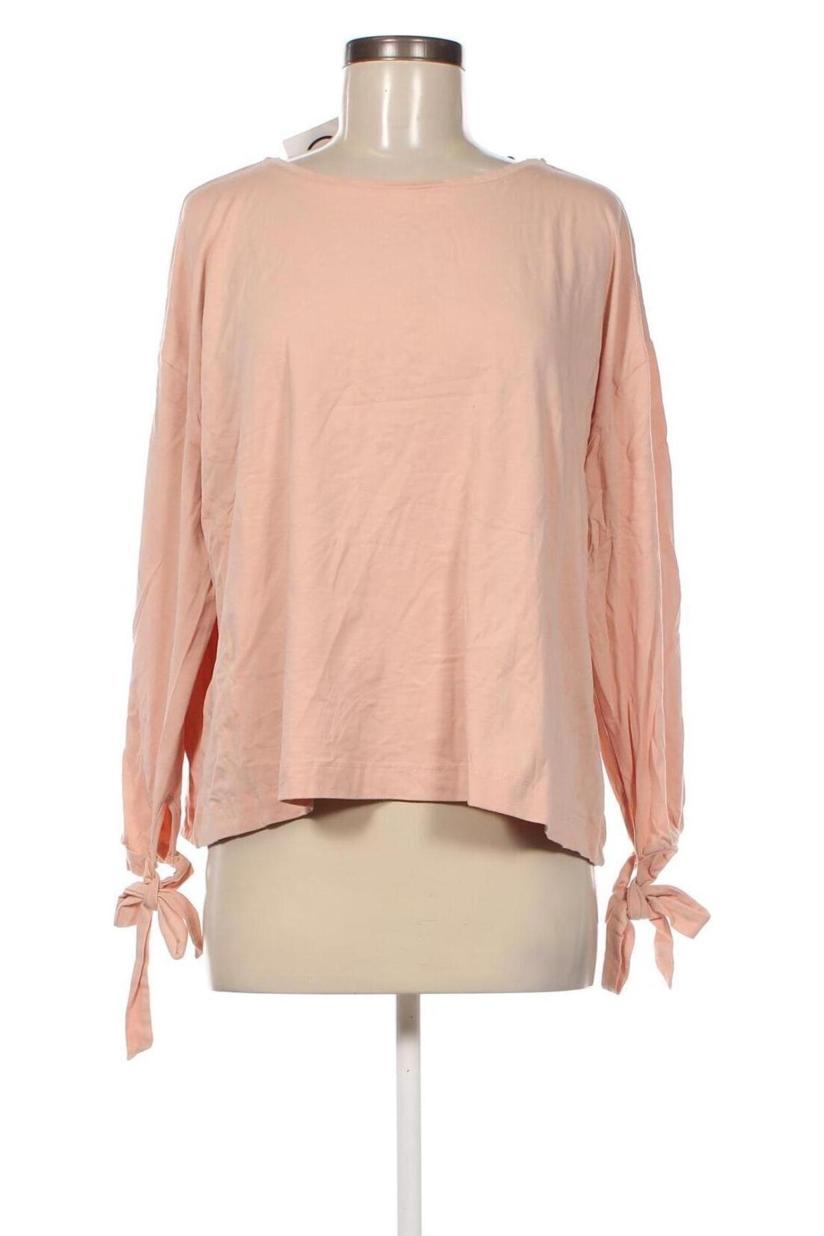 Γυναικεία μπλούζα Essentials by Tchibo, Μέγεθος XL, Χρώμα  Μπέζ, Τιμή 3,88 €