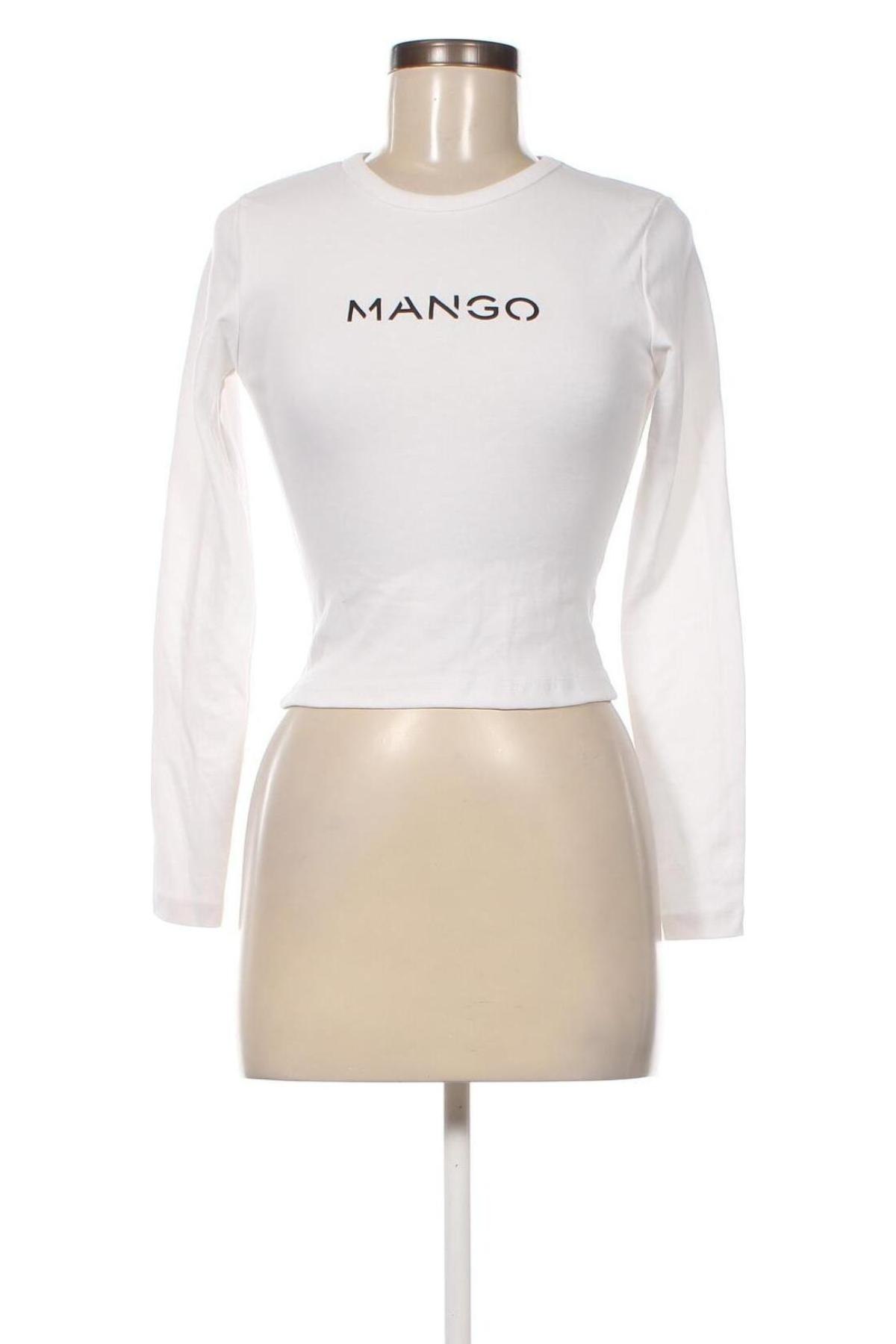 Damen Shirt Mango, Größe S, Farbe Weiß, Preis 13,92 €
