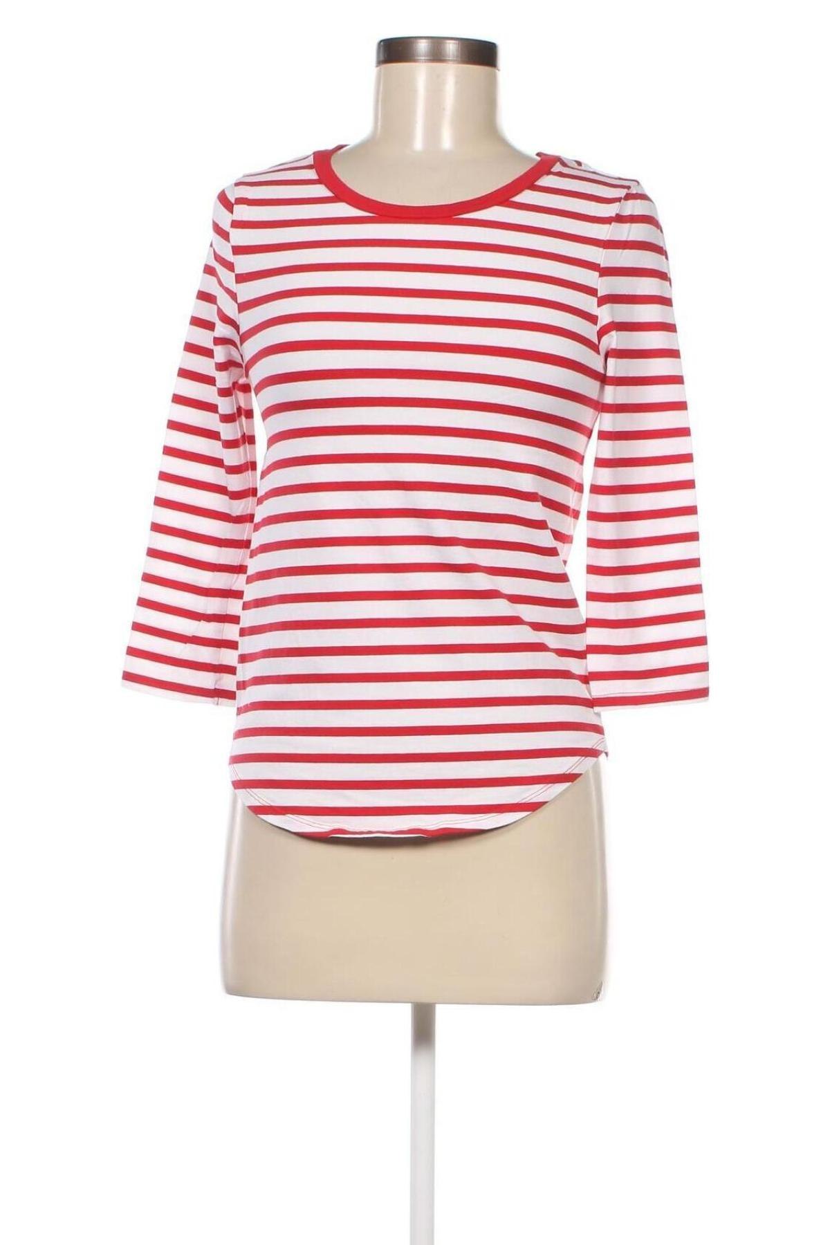 Damen Shirt New Look, Größe M, Farbe Mehrfarbig, Preis € 13,22