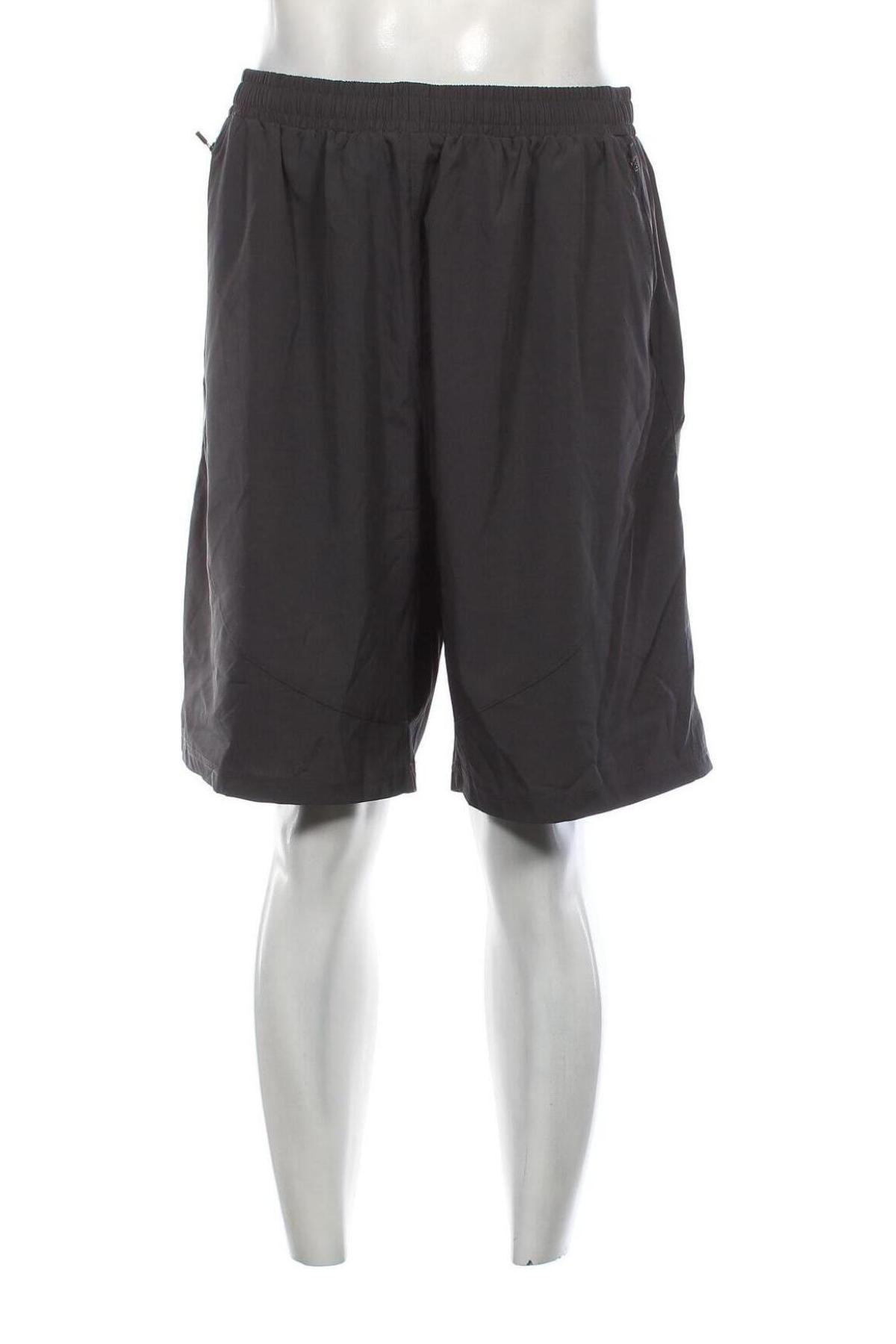 Ανδρικό κοντό παντελόνι, Μέγεθος 4XL, Χρώμα Γκρί, Τιμή 19,18 €