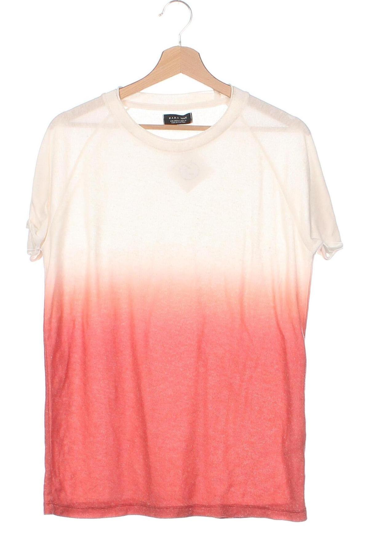 Pánský svetr  Zara Man, Velikost S, Barva Vícebarevné, Cena  164,00 Kč