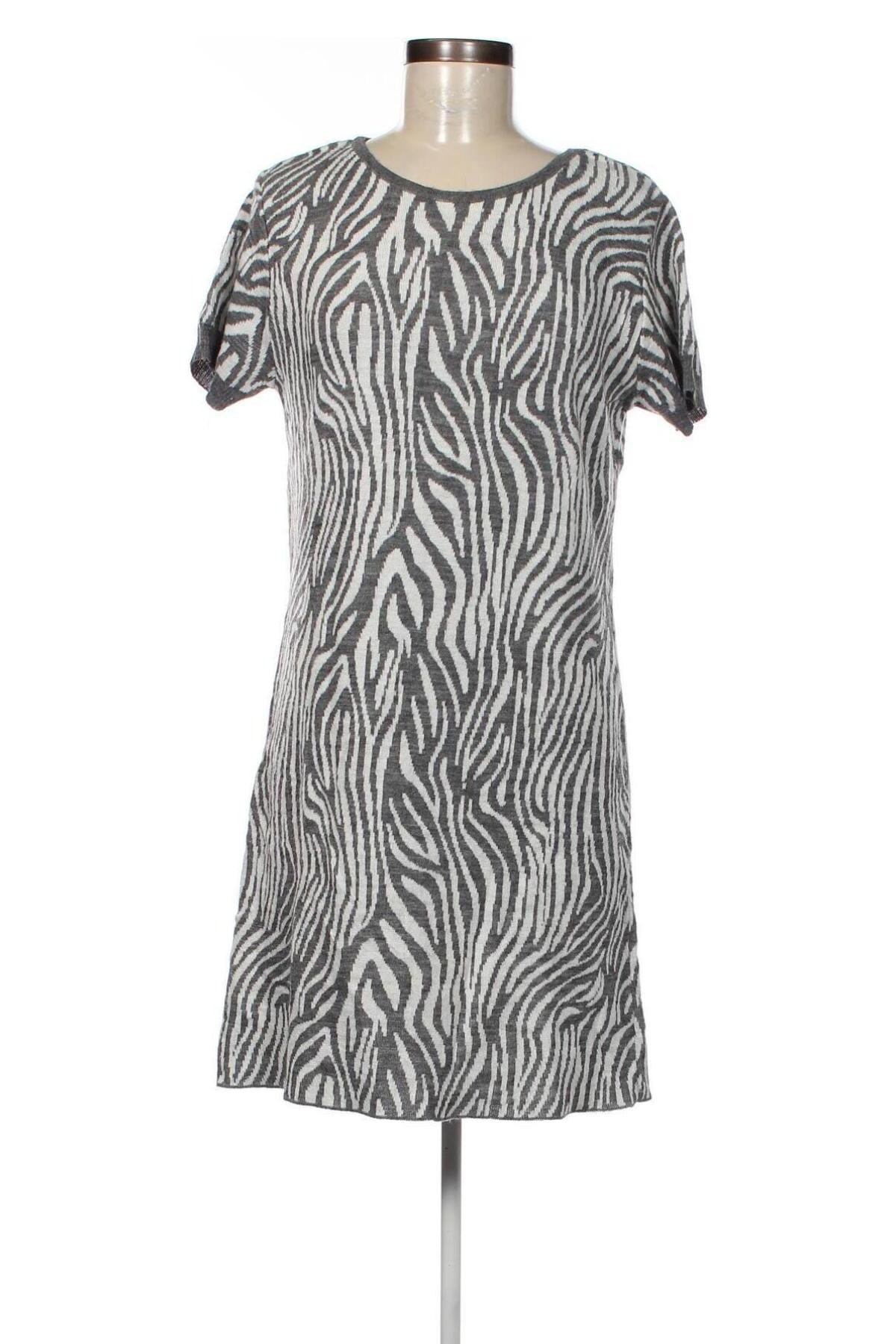 Φόρεμα Chiaramente, Μέγεθος XL, Χρώμα Πολύχρωμο, Τιμή 26,46 €