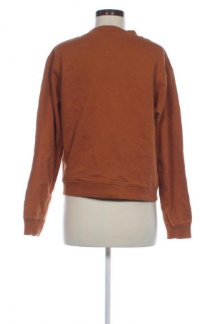 Dámská halenka Another Label, Velikost L, Barva Hnědá, Cena  139,00 Kč
