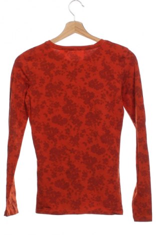 Bluză de femei C&A, Mărime XS, Culoare Multicolor, Preț 61,99 Lei