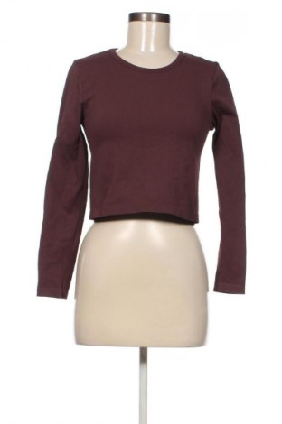 Γυναικεία μπλούζα H&M, Μέγεθος XL, Χρώμα Καφέ, Τιμή 3,99 €