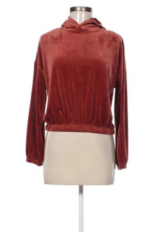 Damen Shirt Hunkemoller, Größe S, Farbe Braun, Preis 5,99 €