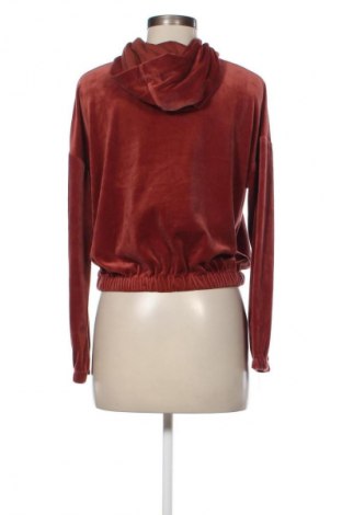 Damen Shirt Hunkemoller, Größe S, Farbe Braun, Preis 5,99 €