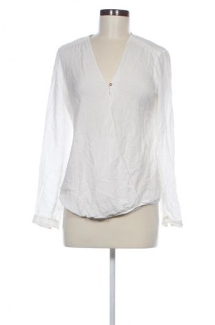 Damen Shirt Mexx, Größe S, Farbe Ecru, Preis 17,00 €