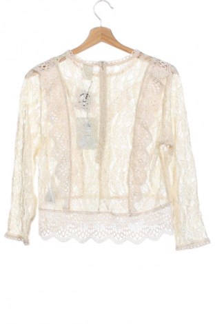 Damen Shirt Studio, Größe XS, Farbe Mehrfarbig, Preis € 21,99