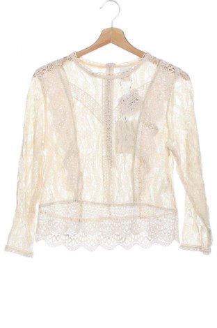 Damen Shirt Studio, Größe XS, Farbe Mehrfarbig, Preis € 21,99