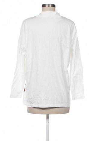 Dámska blúza Unbranded, Veľkosť XL, Farba Viacfarebná, Cena  2,95 €
